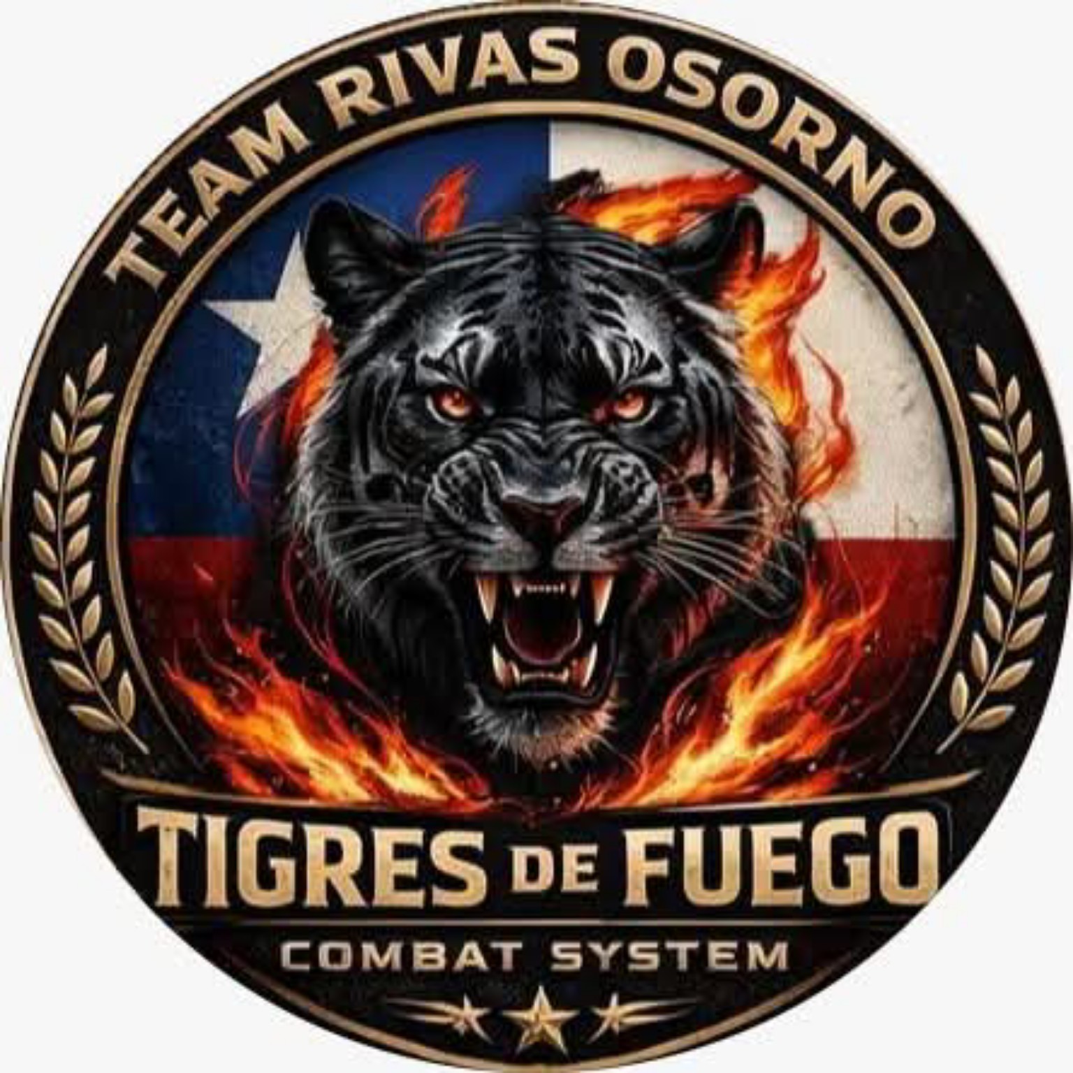 Logo Team Rivas Osorno